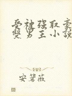 受被强取豪夺的双男主小说