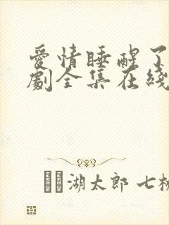 爱情睡醒了电视剧全集在线观看高清
