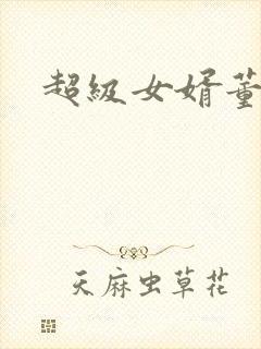 超级女婿董小辉