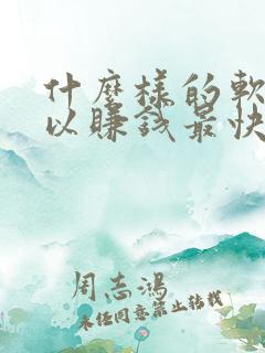 什么样的软件可以赚钱最快最多