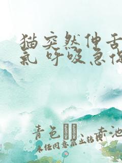 猫突然伸舌头喘气 呼吸急促