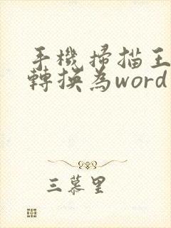 手机扫描王怎么转换为word
