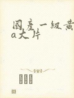 国产一级黄色aa大片