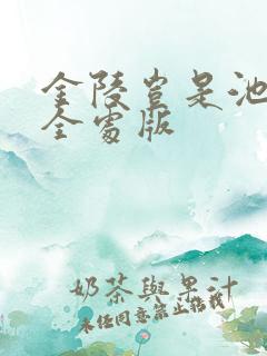 金陵岂是池中物全处版