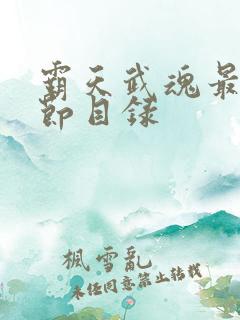 霸天武魂最新章节目录