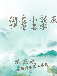 撕夜小说原著叫什么名字