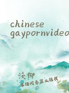 chinesegaypornvideos