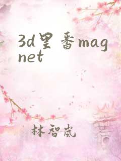 3d里番magnet