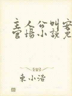 主人公叫安江的官场小说免费阅读