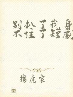 别扒了我身份藏不住了短剧完整版