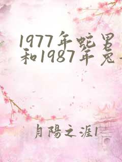 1977年蛇男和1987年兔女相配