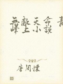 无敌天命 青鸾峰上小说