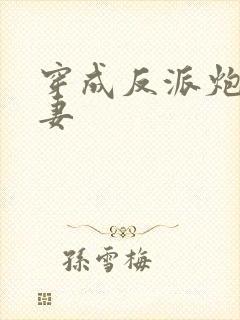 穿成反派炮灰前妻