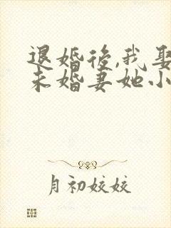 退婚后,我娶了未婚妻她小姨