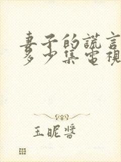 妻子的谎言一共多少集电视剧