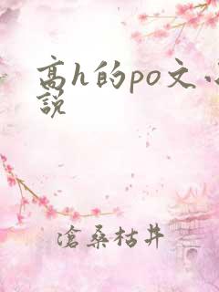 高h的po文小说