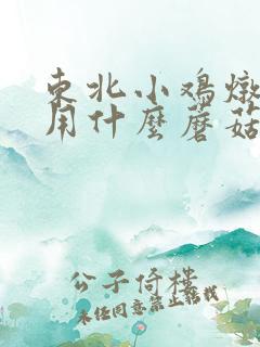 东北小鸡炖蘑菇用什么蘑菇