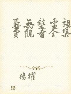 聂无双电视剧免费观看全集
