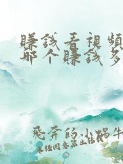 赚钱看视频软件哪个赚钱多又快