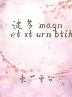 波多 magnet xt urn btih