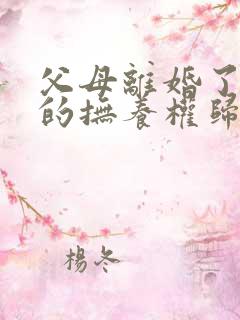 父母离婚了孩子的抚养权归谁