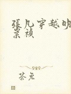 张凡穿越明朝当崇祯