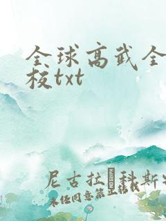 全球高武全本精校txt
