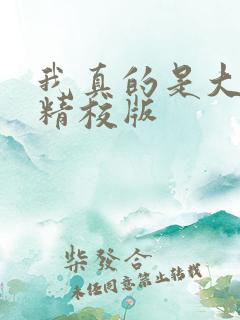 我真的是大明星精校版