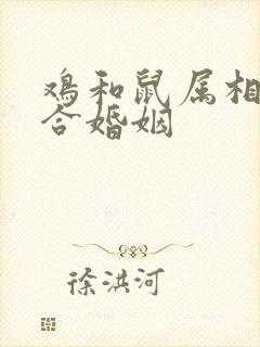 鸡和鼠属相合不合婚姻