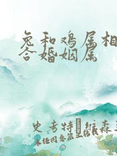 兔和鸡属相合不合婚姻属