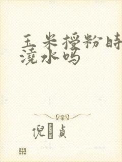 玉米授粉时间能浇水吗