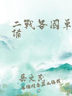 二战各国单兵装备