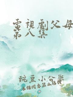 电视剧父母爱情第八集