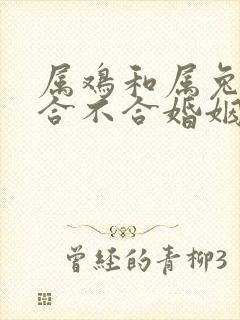 属鸡和属兔属相合不合婚姻