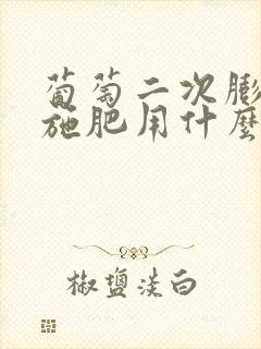 葡萄二次膨大期施肥用什么肥