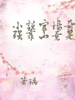 小说官场奇才最强靠山竟是我自己李霖免费