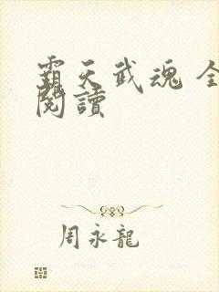霸天武魂 全文阅读