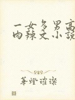 一女多男高h多肉辣文小说