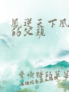 凤逆天下凰北月的父亲