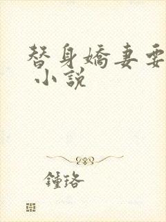 替身娇妻要离婚 小说
