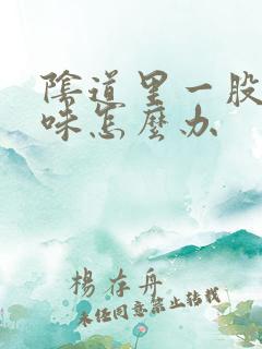 阴道里一股腥臭味怎么办