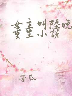 女主叫陆晚晚的重生小说