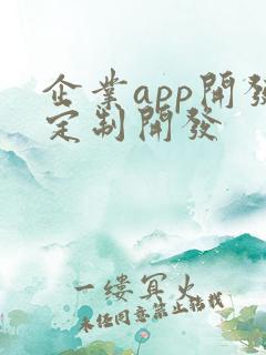 企业app开发定制开发