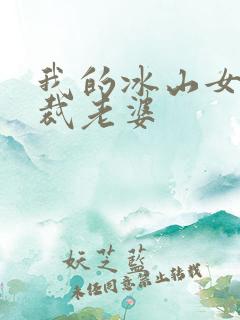 我的冰山女神总裁老婆