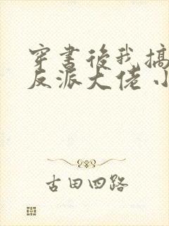 穿书后我搞到了反派大佬 小火子