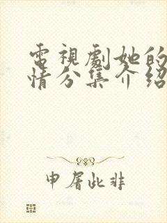 电视剧她的城剧情分集介绍