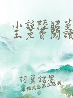 小说陆昭菱与晋王免费阅读