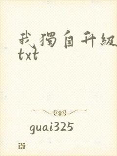 我独自升级原著txt