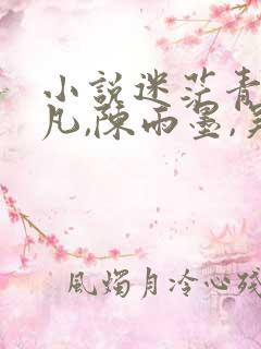 小说迷茫青春张凡,陈雨墨,吴倩