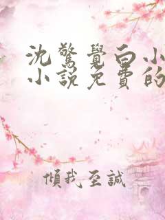 沈惊觉白小小的小说免费的
